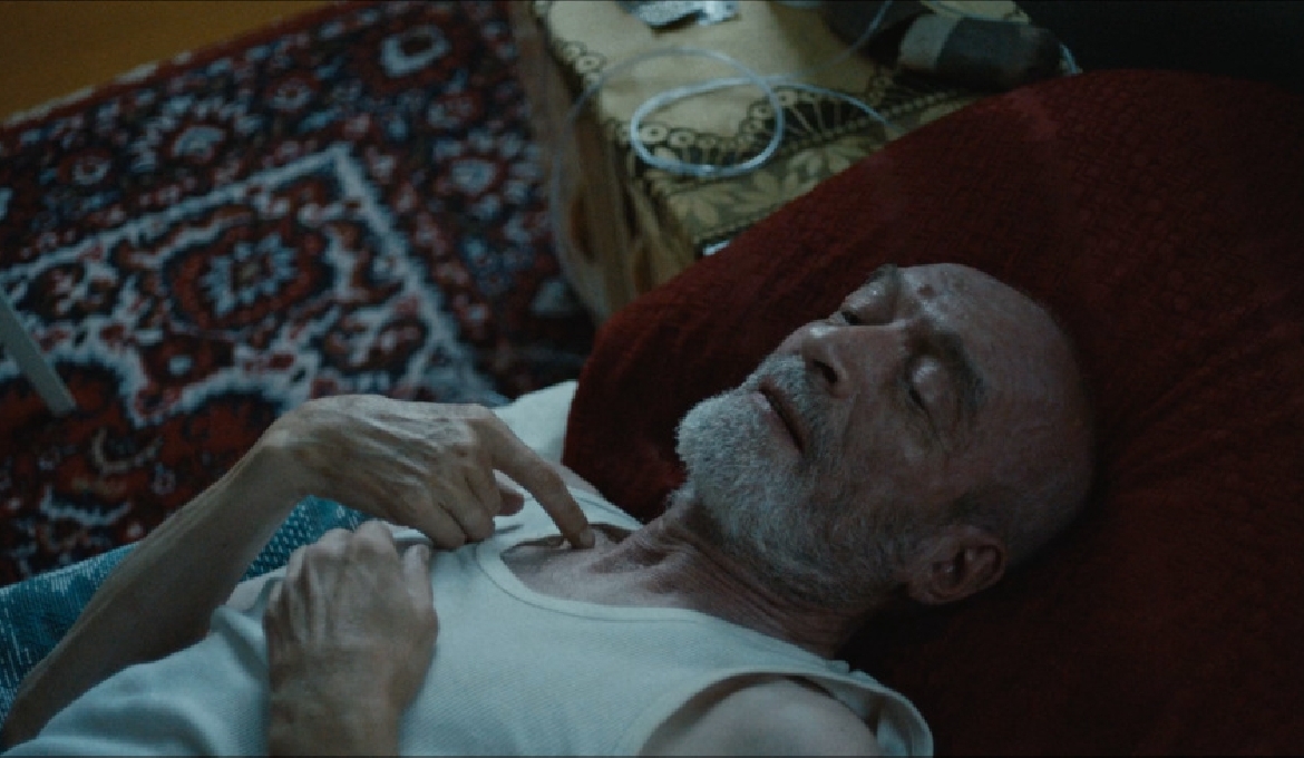 Our films awarded at festivals!