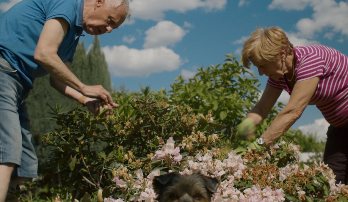 RODOS in the competition of the 66th Krakow Film Festival!